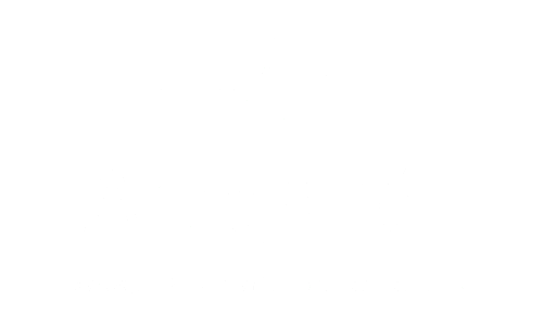 Ale Aragonés - Liderazgo, Rendimiento, Bienestar Sostenible