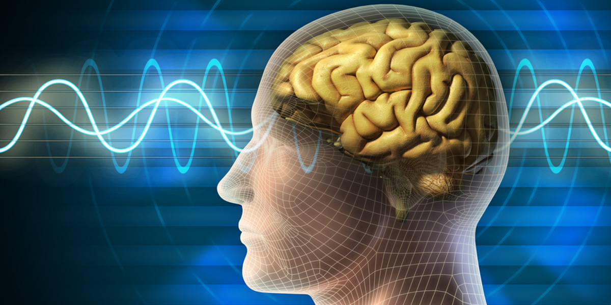 The Science Behind Delta Waves and Sleep